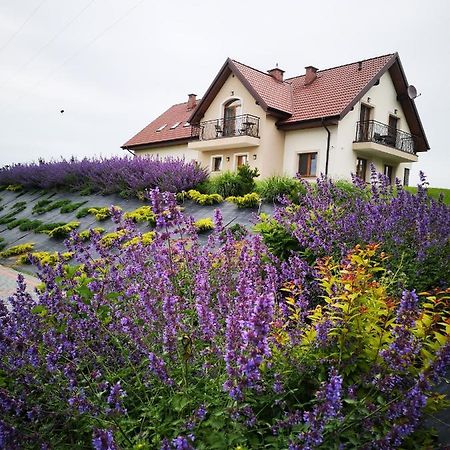 Apartamenty, Zielone Wzgorze Wiktora W Mikolajkach Міколайкі Екстер'єр фото