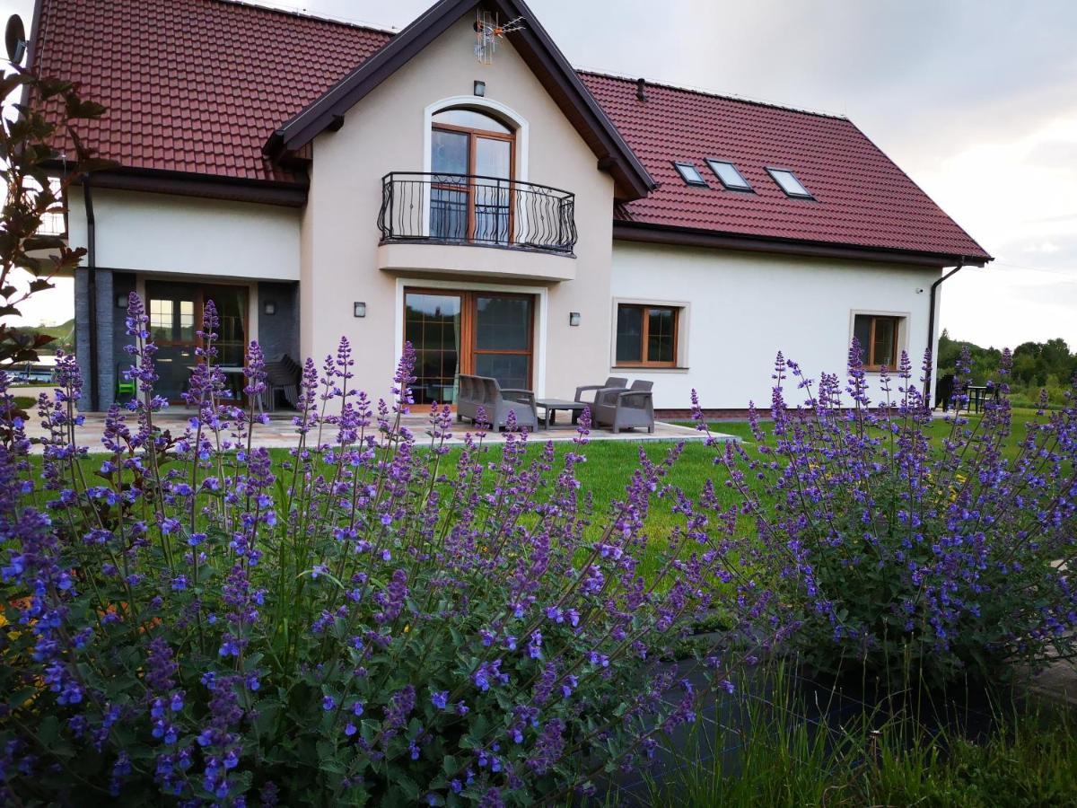 Apartamenty, Zielone Wzgorze Wiktora W Mikolajkach Міколайкі Екстер'єр фото